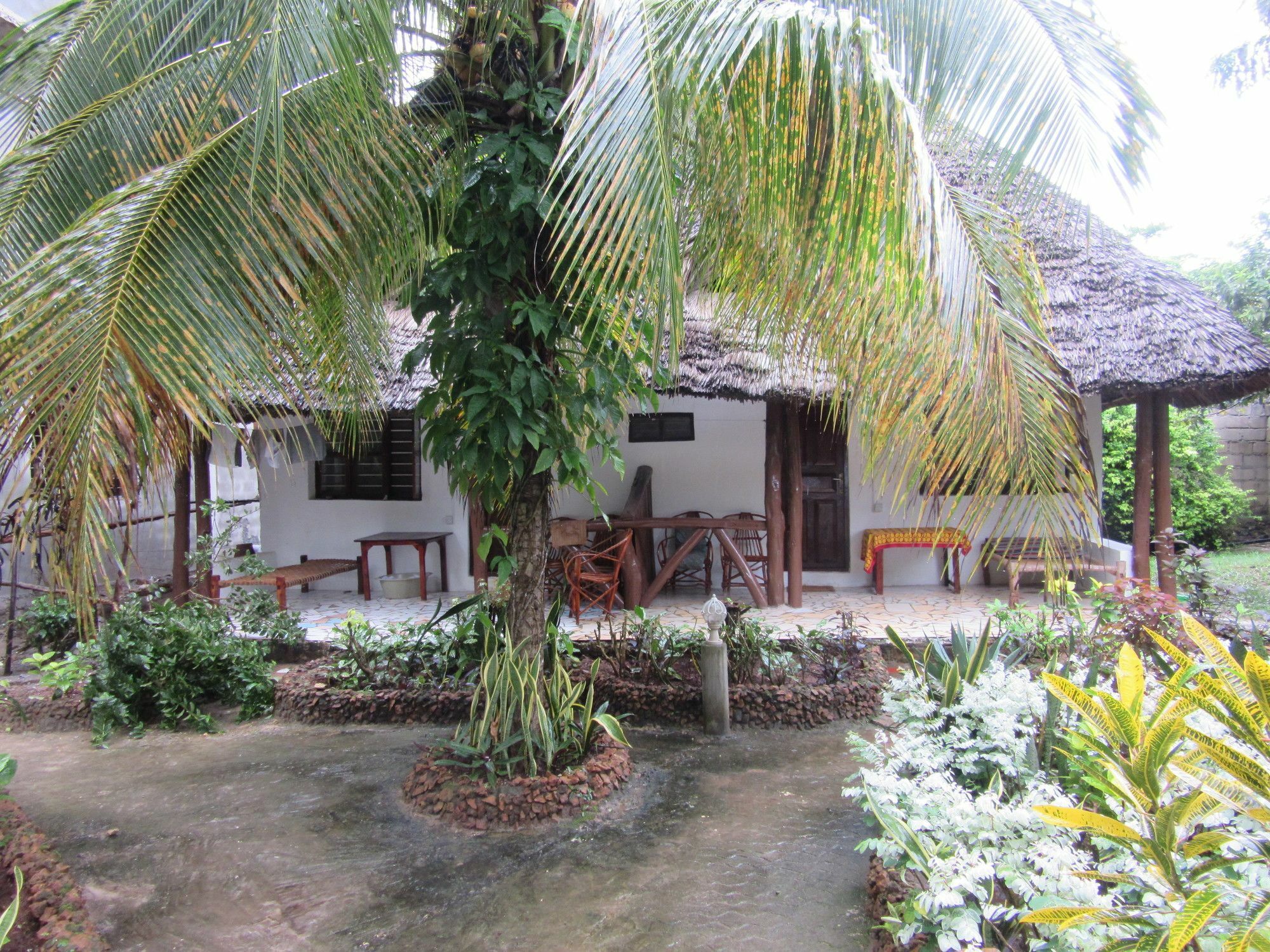 Baraka Beach Bungalows Nungwi Buitenkant foto